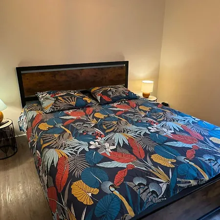 Bois Du Bouchet, Vue Montagne, Calme, Parking Gratuit, Proche Centre * Chamonix