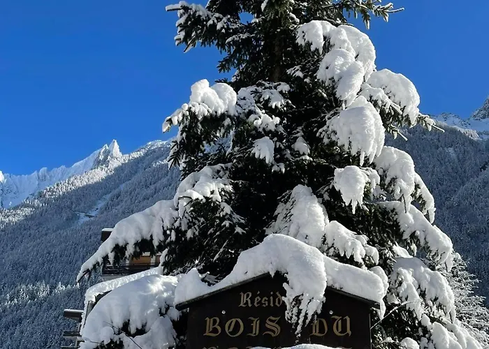 Bois Du Bouchet, Vue Montagne, Calme, Parking Gratuit, Proche Centre Apartment Chamonix