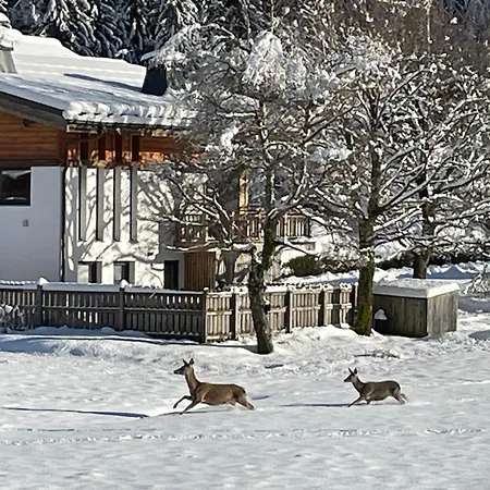Bois Du Bouchet, Vue Montagne, Calme, Parking Gratuit, Proche Centre Apartman