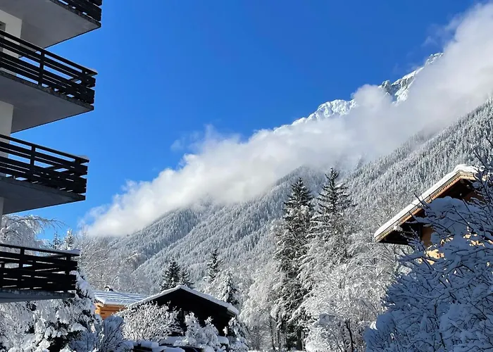 Bois Du Bouchet, Vue Montagne, Calme, Parking Gratuit, Proche Centre * Chamonix